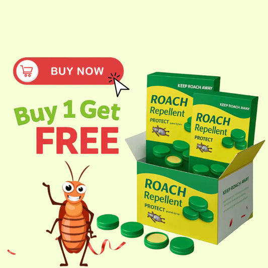 Cockroach Killer Powder Gel (Pack of 24pc)